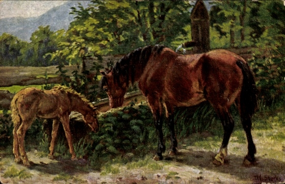 Artist Postcard Horse and Foal