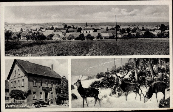 Postcard Ellern im Hunsrück, Inn Waldlust, deer in winter