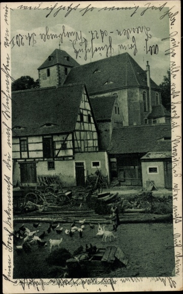 PC Zschaitz Ottewig in Sachsen, estate and church, animals
