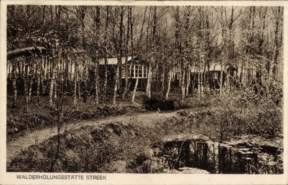 Postcard Streek Sandkrug Hatten in Oldenburg, forest recreation area