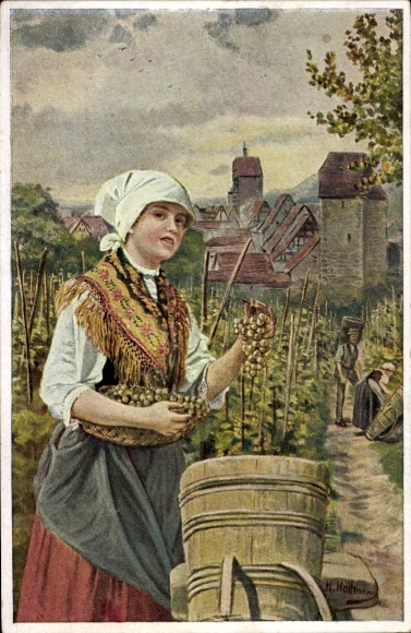 Künstler Ak Hoffmann, H., Riquewihr Reichenweier Elsaß Elsass Haut Rhin, Traubenernte