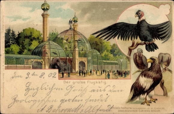 Litho Berlin Tiergarten, Zoologischer Garten, Flugkäfig, Greifvögel, Adler, Geier