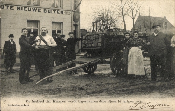 Postcard Wuestwezel Province of Antwerp, Hercules of Kempen is harnessed to the chariot by his son