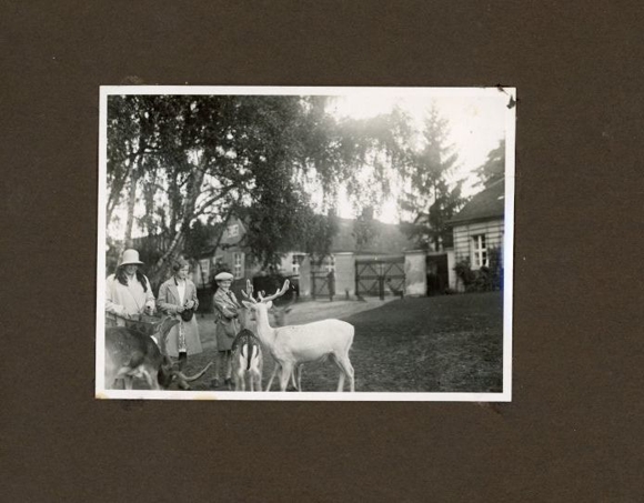 Photo Album Eggersdorf Petershagen with 39 photos