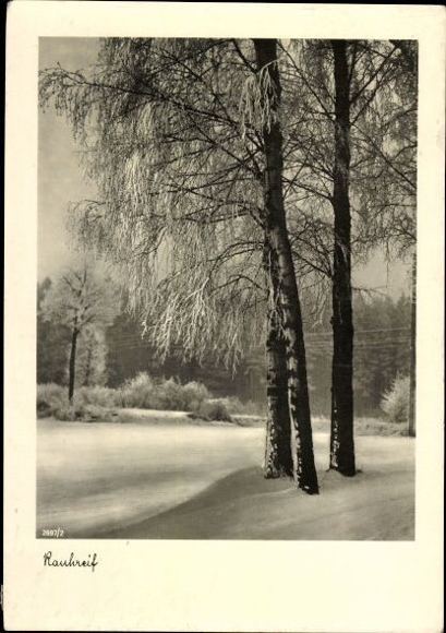 10 alte Künstler Ak Fotographien, diverse Motive