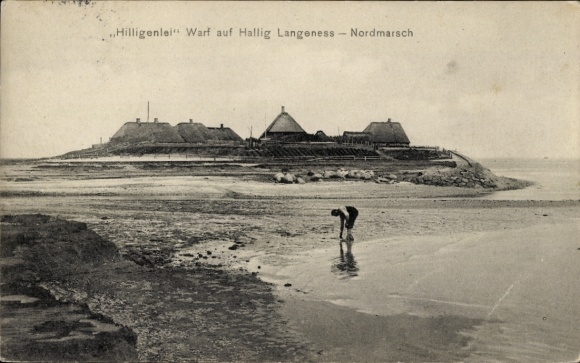 Ak Nordmarsch Hallig Langeneß Noord-Friesland, Hilligenlei Warf
