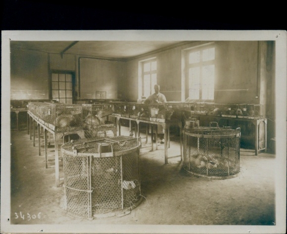 Photo Paris, Institut Pasteur, 25th anniversary, animals in cages