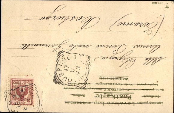 Embossed Postcard cat with dragonfly, PFB 2285