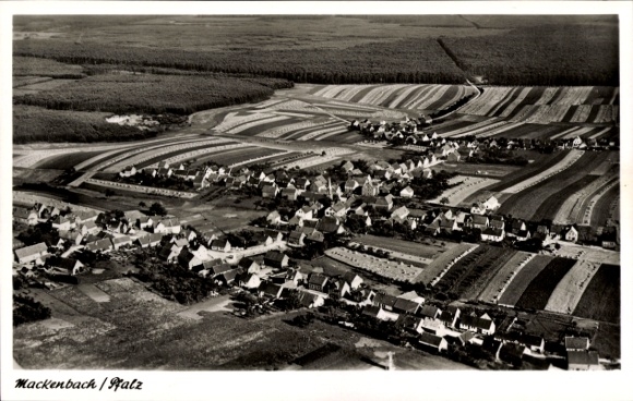 Ak Mackenbach in der Pfalz, Luftaufnahme von  Landwirtschaftsfläche, Wohnhäuser