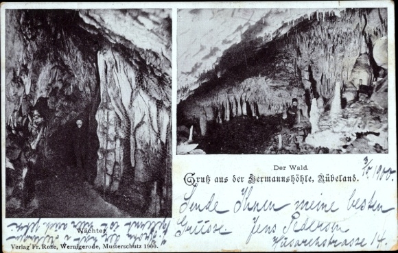 Postcard Rübeland Oberharz am Brocken, Hermannshöhle, Wächter, The Forest