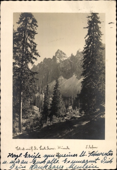 Foto Ak Waldpartie, Bergspitze, Fotograf Defner