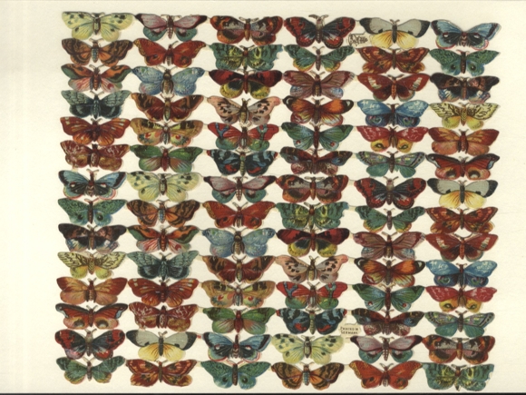 Oblate, kompletter Block bunte Falter / Schmetterlinge, größe ca. 20 x 24 cm