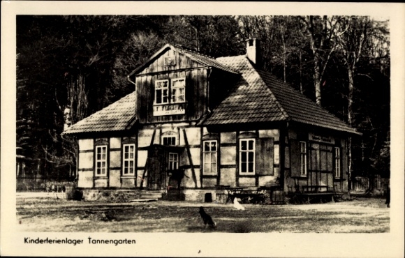 Postcard Bernburg an der Saale, children's holiday camp Tannengarten, house in front of the forest