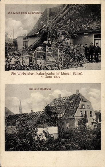 Ak Lingen im Emsland, Wirbelsturmkatastrophe 1. Juni 1927, Linde beim Gymnasium, Apotheke