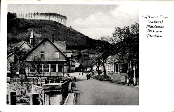 KP Zorge Walkenried im Harz, Mittelzorge, widok na konia
