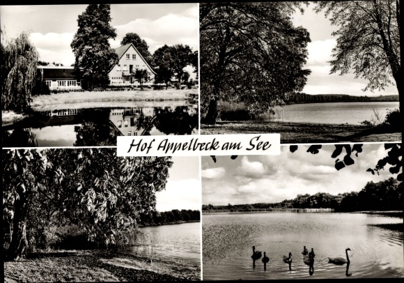 Ansichtkaart Moisburg in Nedersaksen, Hof Appelbeck am See