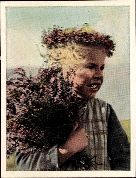 Sammelbild Auf deutscher Scholle, Hans v. d. Nordmark, Bild Nr. 81, Das Heidekind