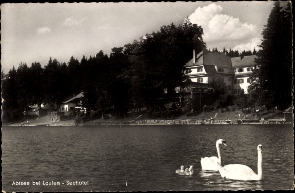 Ak Abtsdorf Saaldorf Surheim in Oberbayern, Abtsdorfer See, Abtsee, Seehotel, Schwäne