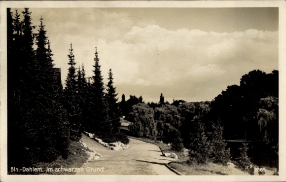 Postcard Berlin Zehlendorf Dahlem, In the Black Ground