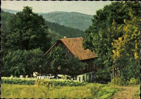 Postcard Zöblitz Marienberg in the Ore Mountains, landscape photograph with forest, house, clothesline, mountain...