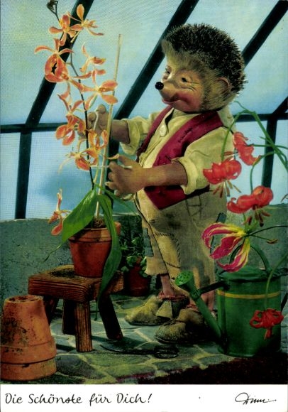 Postcard Mecki the Hedgehog, The Most Beautiful for You, Orchid