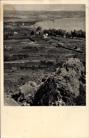 Postcard Migdal Israel, Orange Groves
