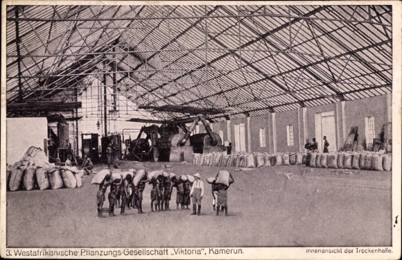 Postcard Cameroon, West African Plant Society Victoria, interior view of the drying hall