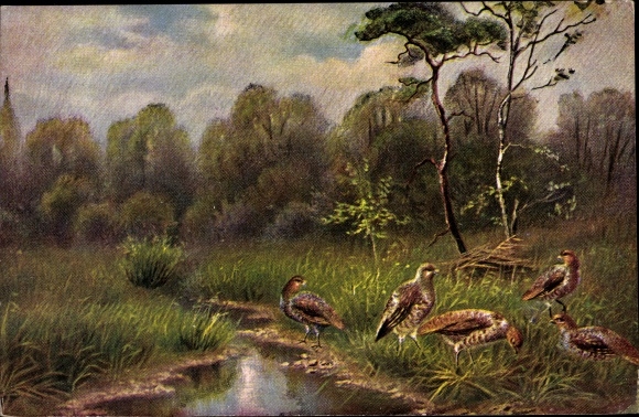 Postcard Landscape with Partridges
