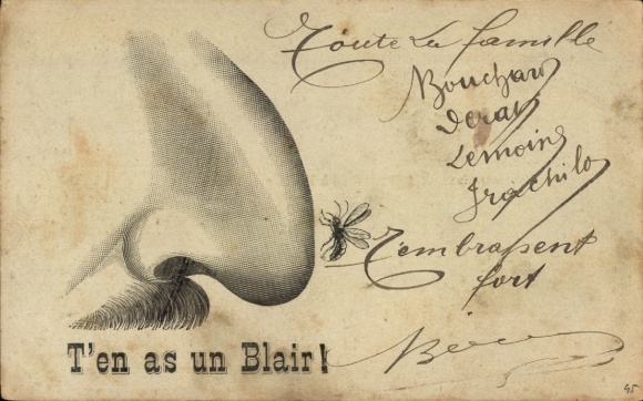 Postcard mosquito, gnat, human nose, insect