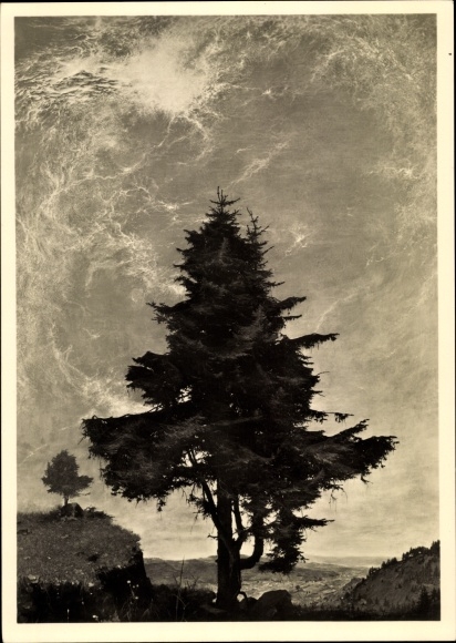 Artist PC Kriegel, Willy, Mittag, HDK 516, conifer, Photo Hoffmann
