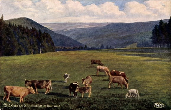 Artist PC Gehlberg, Schmücke in the Thuringian Forest, Sachsenstein, Wiro, cows grazing