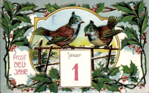 Postcard Happy New Year, birds, holly, calendar