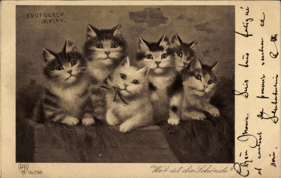 Artist Postcard Knut Oeren, Who is the Most Beautiful, Cats