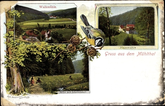 Postcard Eisenberg in Thuringia, Mühltal, Walkmühle, Pfarrmühle, Schönheitsborn