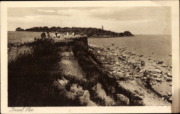 Postcard Island Oie, Greifswalder Oie, coast