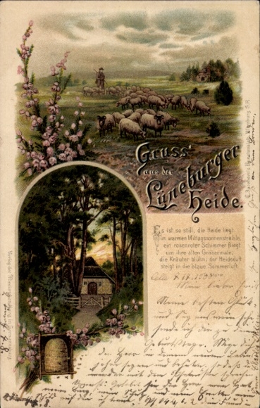 litho Lüneburger Heide, herder, schapen, imker, Th