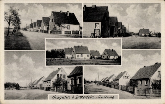Ak Raguhn in Anhalt, Siedlung mit Häusern, Straße, Bäume, Wolken am Himmel