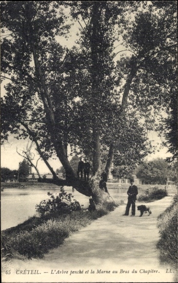 Postcard Créteil Val de Marne, L'Arbre penché, Marne, walkers, dog, climbers