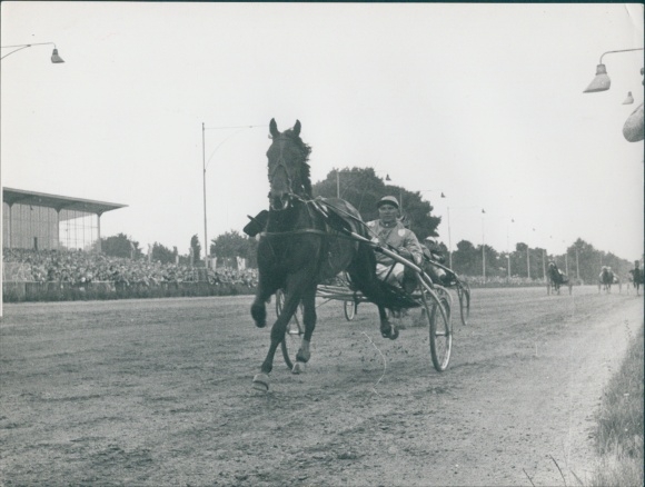 foto Berlin West 1954, drafbaan Mariendorf, renbaan