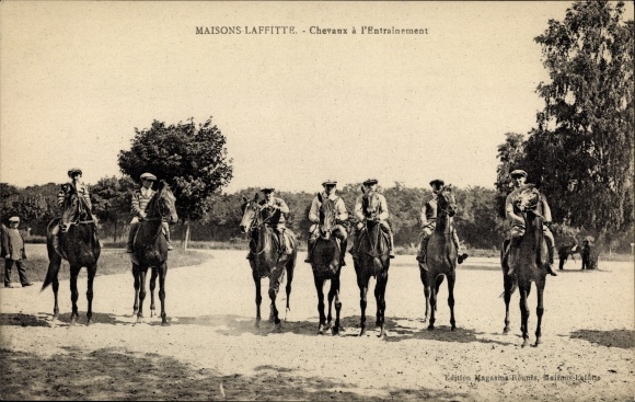 Postcard Maisons Laffitte Yvelines, Horses in Training