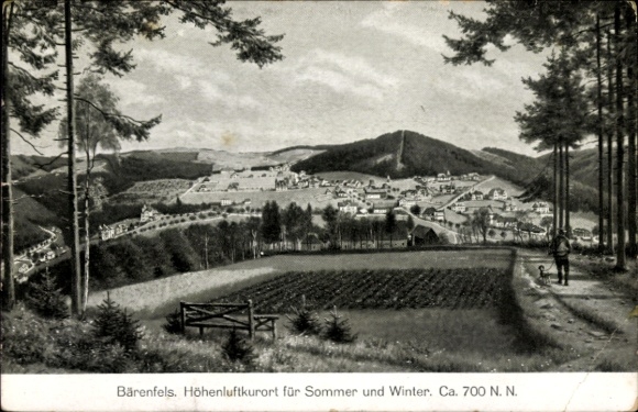 Postcard Bärenfels Altenberg in the Ore Mountains, panorama of the village