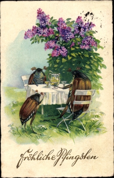 PC congratulations Pentecost, humanized may beetle under a lilac bush