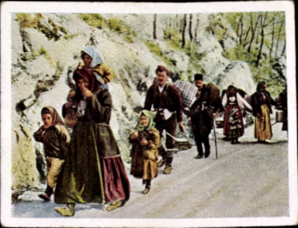 Sammelbild Der Weltkrieg 1915, Der Feldzug gegen Serbien Nr. 63, Serben auf der Flucht