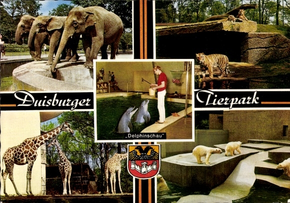 Postcard Duisburg in the Ruhr area, zoo, dolphins, elephants, tigers, giraffes, polar bears