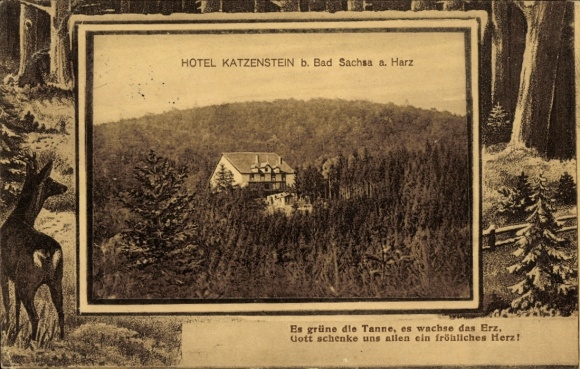 KP Bad Sachsa w górach Harz, Hotel Katzenstein, krajobraz leśny,