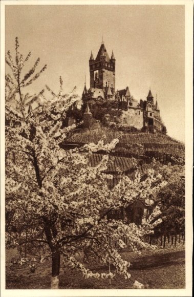 Ak Cochem an der Mosel, Burg, WHW