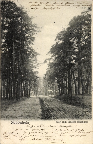 Ak Berlin Pankow Niederschönhausen Schönholz, Schloss  Weg zum Schloss, Bäume, ländliche Landscha