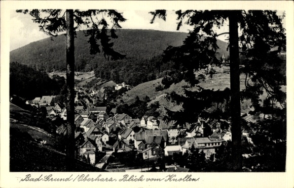 Ak Bad Grund im Harz, Blick vom Knollen, Wald, Häuser, Berge