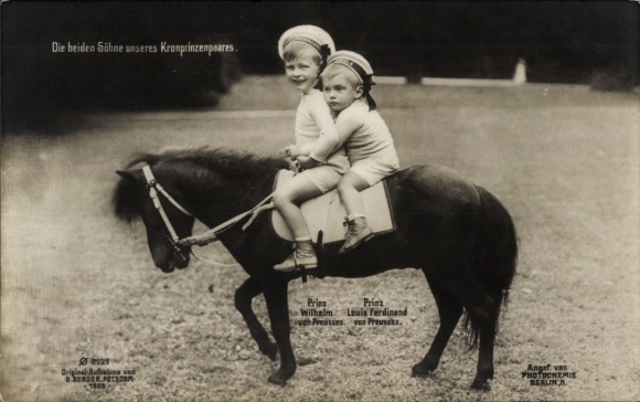 Ak Die beiden Söhne des Kronprinzenpaares, Prinz Wilhelm und Prinz Louis Ferdinand auf einem Pony