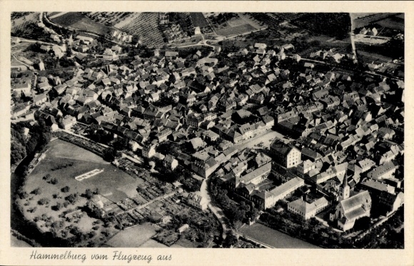 Postcard Hammelburg in Lower Franconia Bavaria, aerial view of residential buildings, agricultural areas